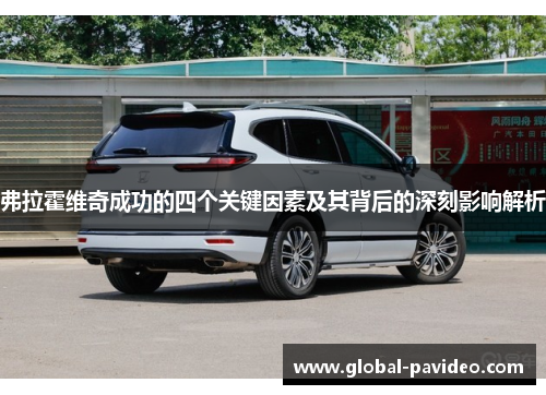 弗拉霍维奇成功的四个关键因素及其背后的深刻影响解析