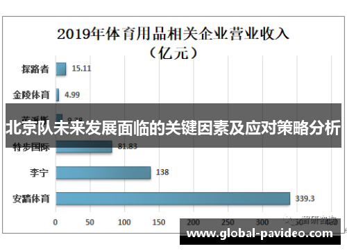 北京队未来发展面临的关键因素及应对策略分析