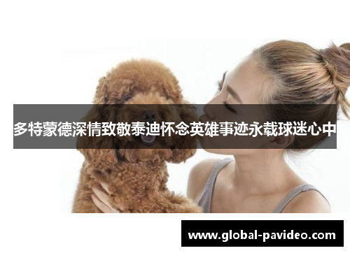 多特蒙德深情致敬泰迪怀念英雄事迹永载球迷心中