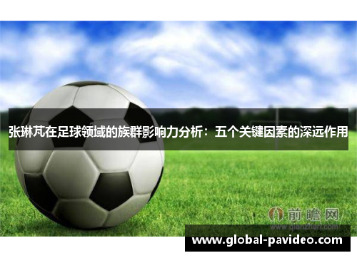 张琳芃在足球领域的族群影响力分析：五个关键因素的深远作用