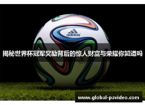 揭秘世界杯冠军奖励背后的惊人财富与荣耀你知道吗