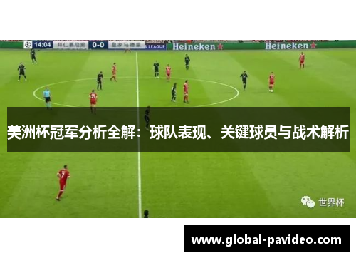 美洲杯冠军分析全解：球队表现、关键球员与战术解析